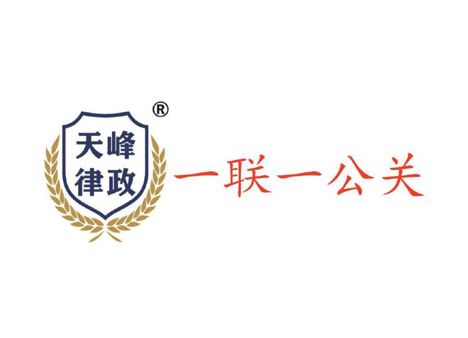 十大公关公司成功案例：策略创新与行业标杆实践|K8凯发bbin手机版